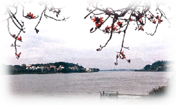 991806fe4a0895da605d2573bbf2_1.0.png