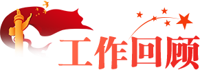 工作回顾