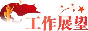 工作展望