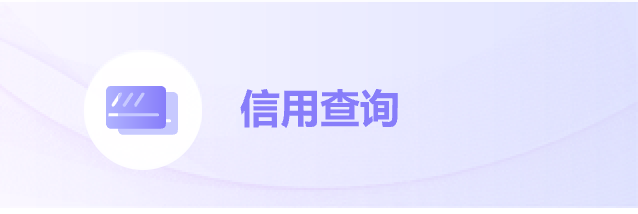 信用查询