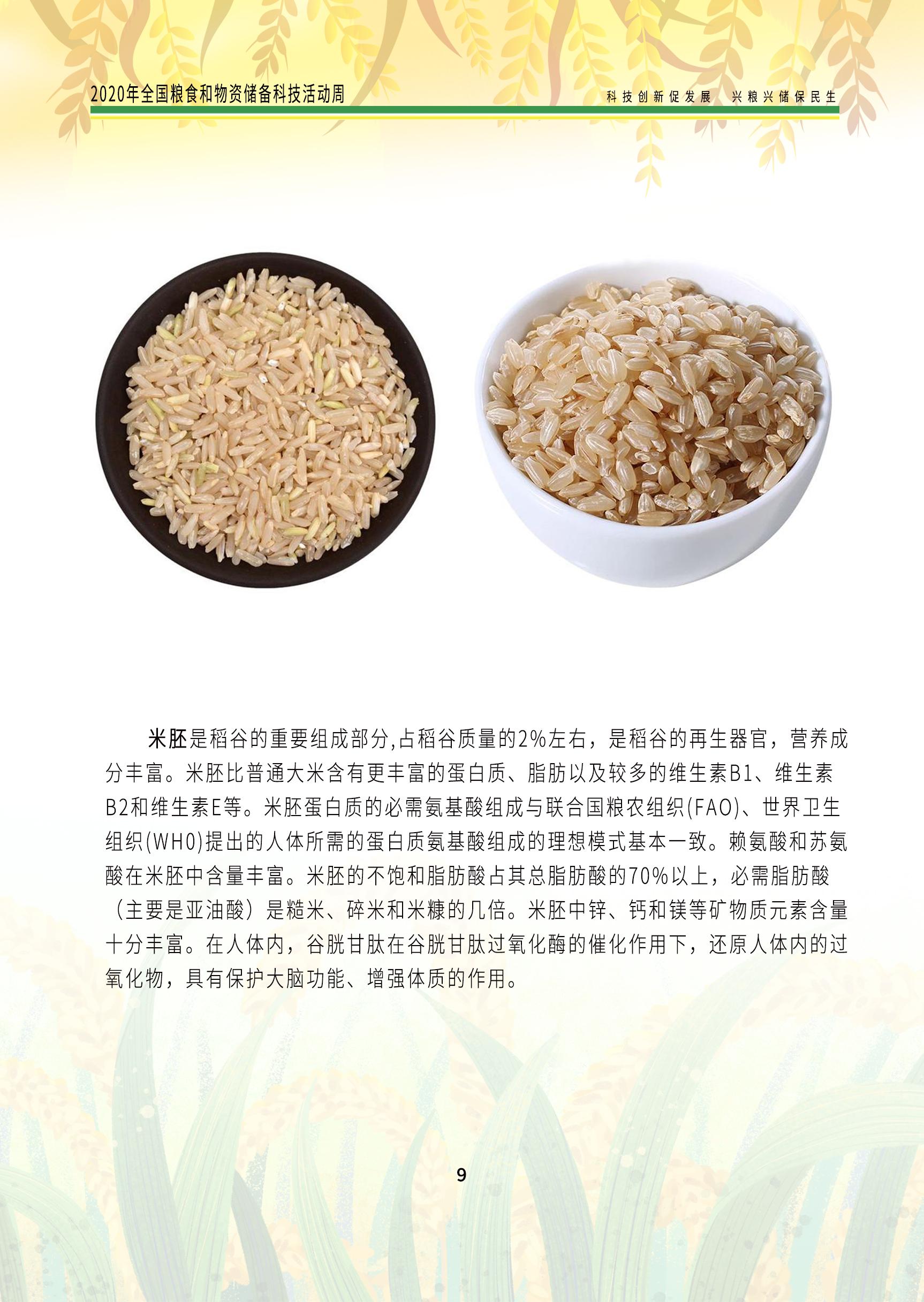 2020科普手册米分册_页面_11.jpg