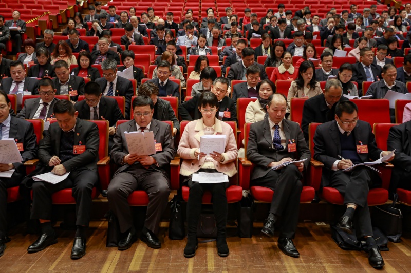 区十六届人大六次会议召开第二次全体大会，代表们审议人大工作报告。石建华 摄.JPG