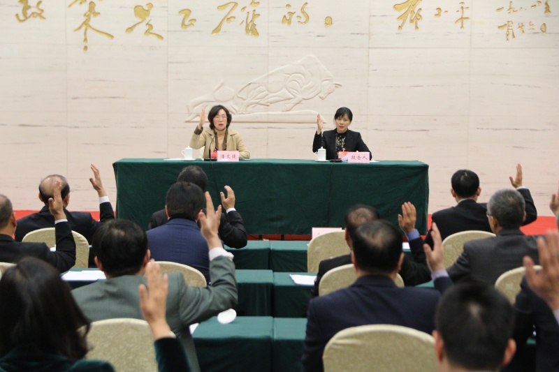 区十六届人大六次会议主席团第三次会议通过区人大财经委关于国民经济和社会发展计划草案的审查报告。杨凯 摄.JPG