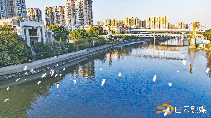景象重现