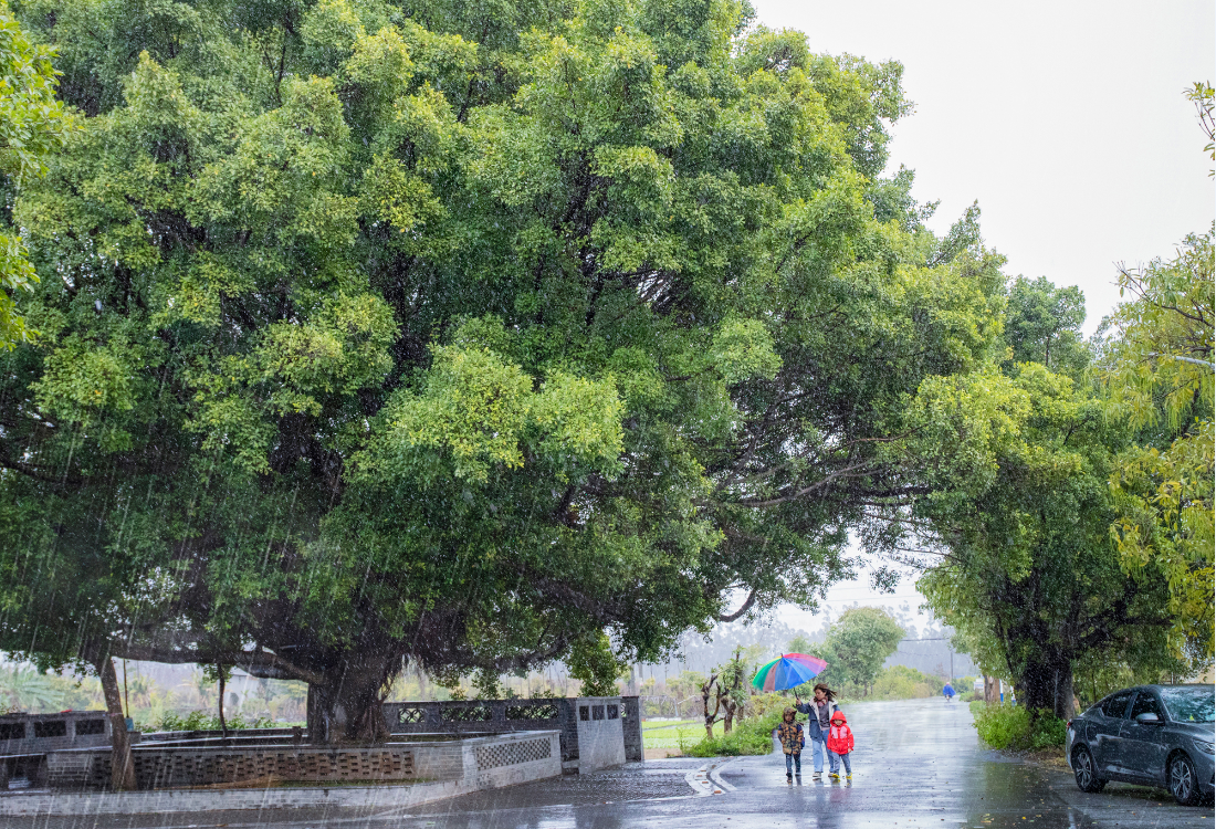 22.《风雨同行》刘丽嫦.png