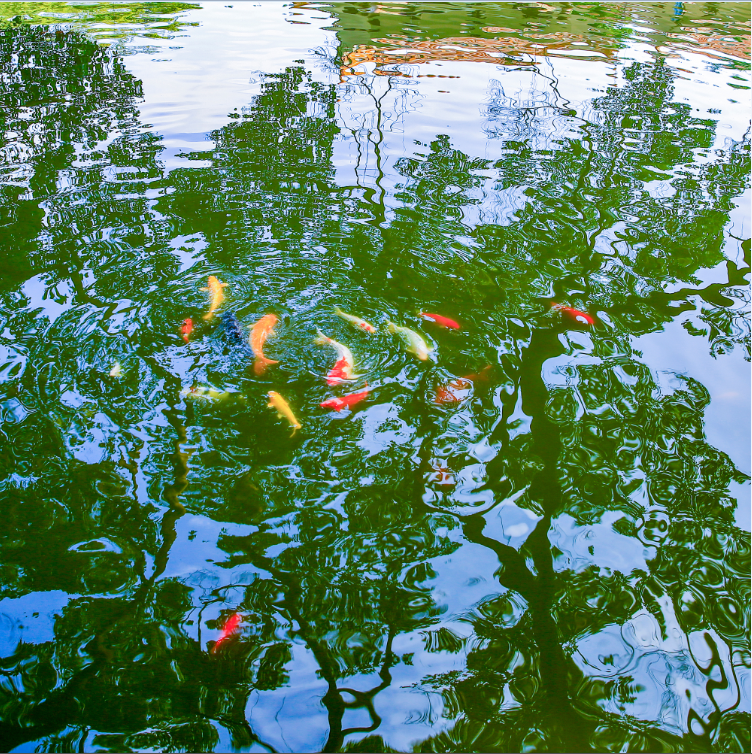 28.《古榕荫》杨赤岗.png