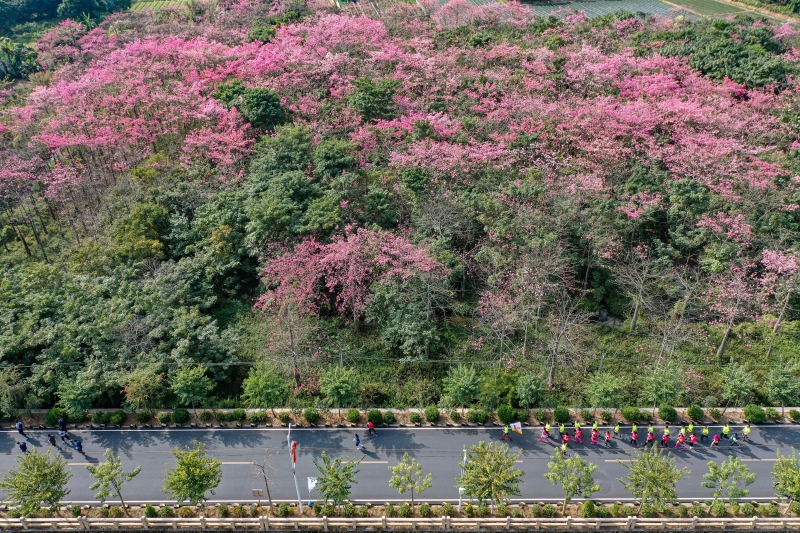 沿着云溪湾内道路前行，欣赏两旁乡野风光，是难得的休闲享受。.JPG