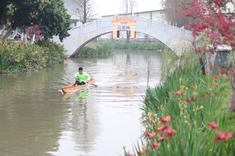 鸦岗涌沿线修建了同心桥、荔园桥等多座桥梁，涌内村民划艇，岸边桃红柳绿。.JPG