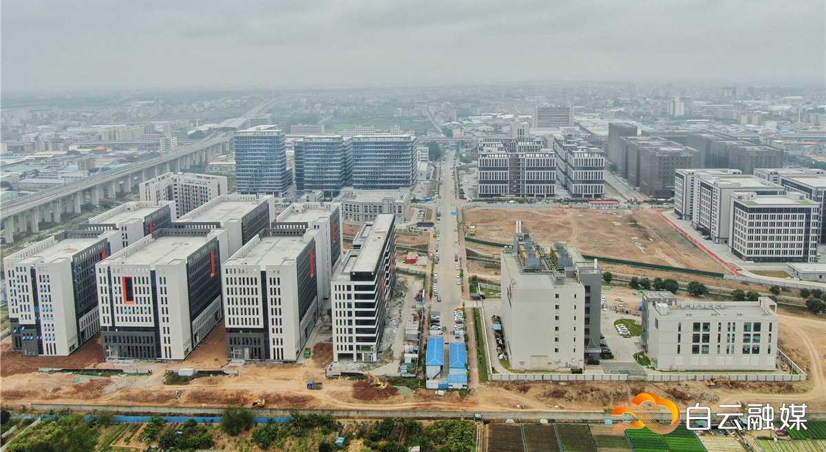 DJI_0290-01