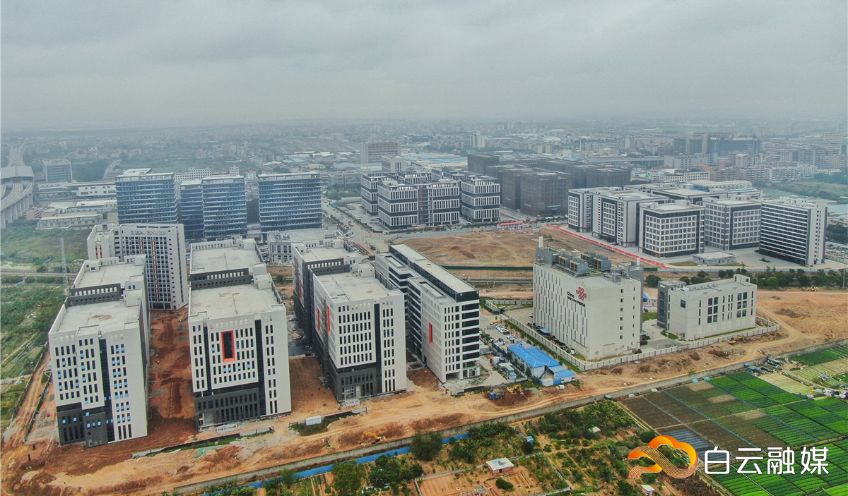 DJI_0289-01