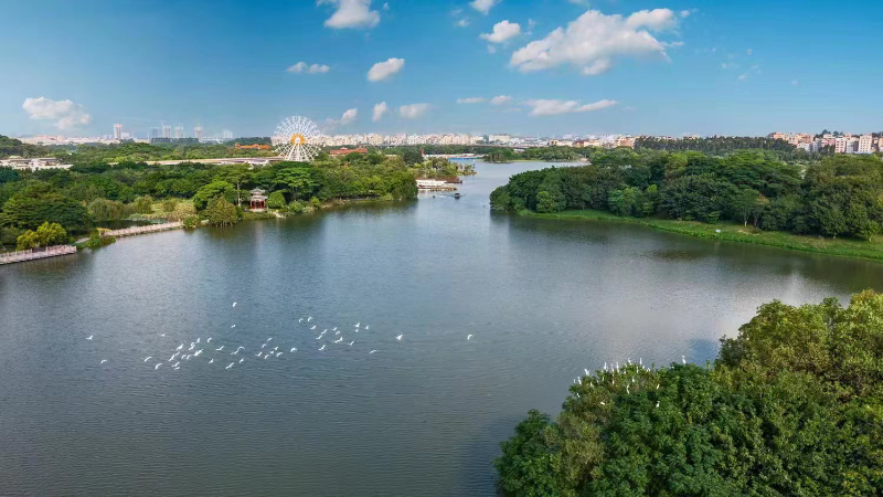 白云湖河流.jpg