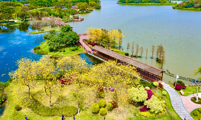 云湖美景-白云湖航拍图