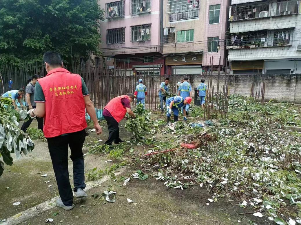 社区宣传-白云区棠景街筑牢防线守护健康，全力推进登革热防控工作.docx_4