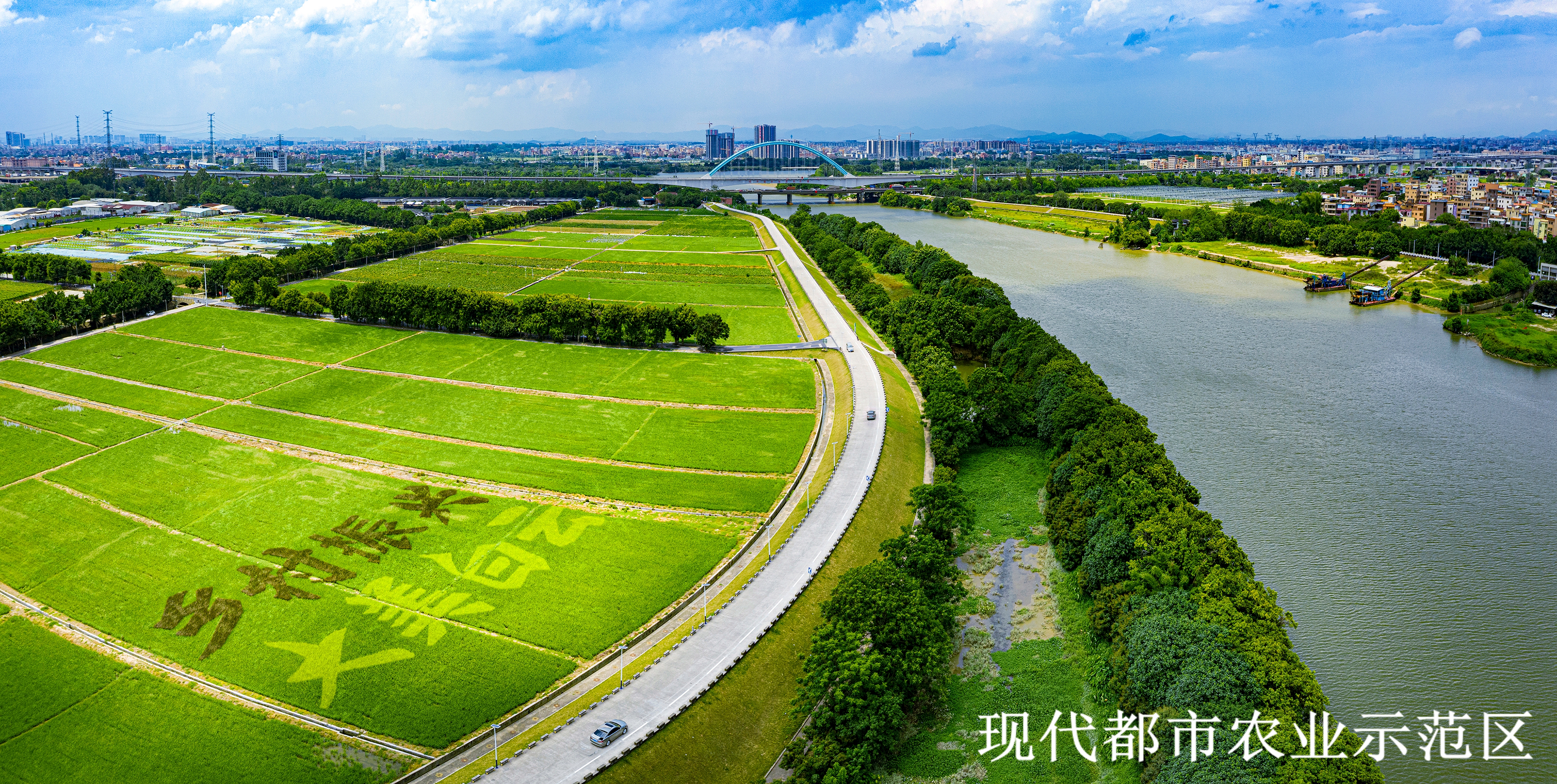 7农业示范区.jpg